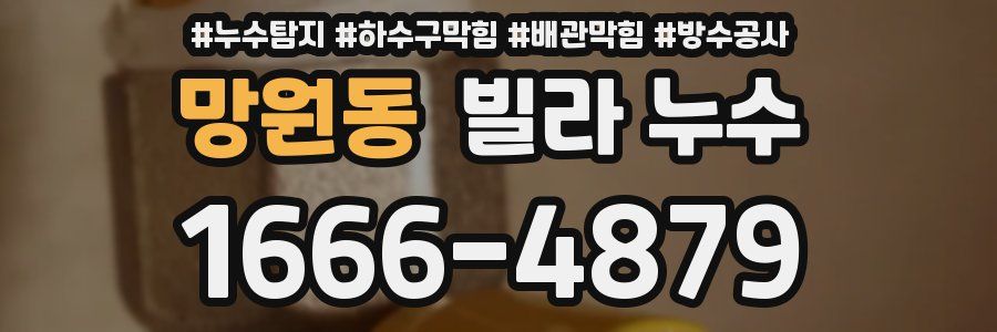 망원동 빌라 누수