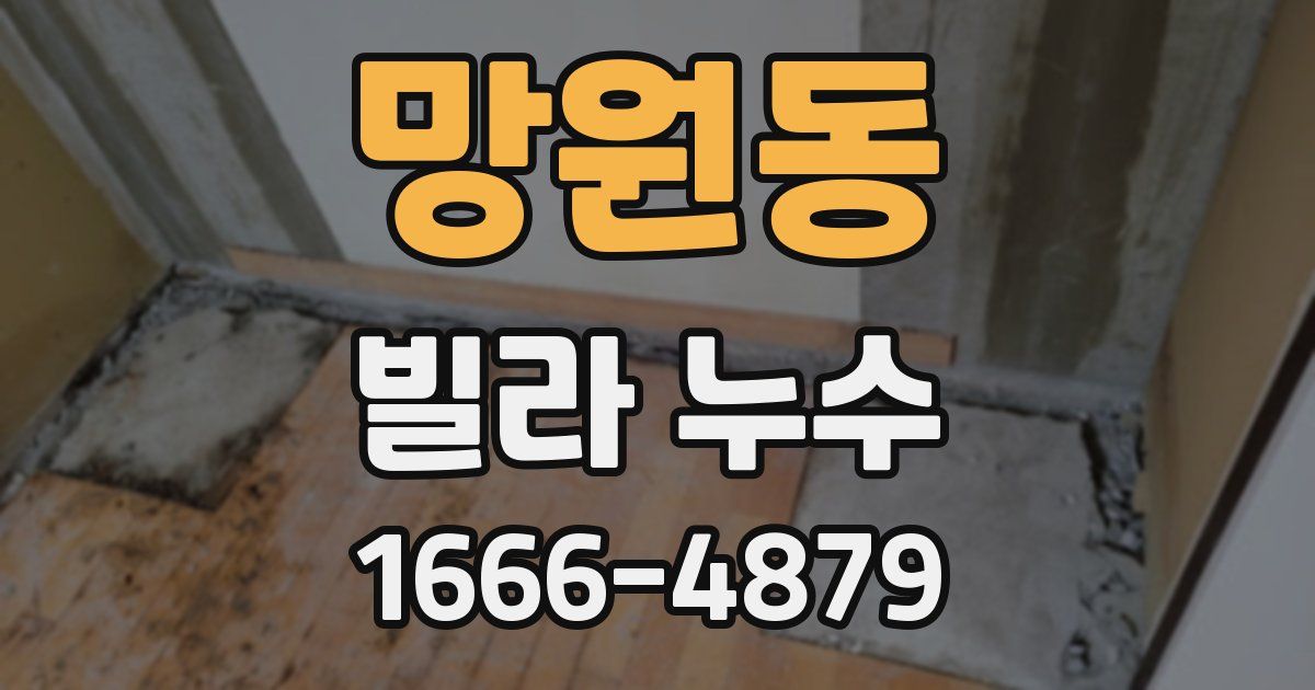 망원동 빌라 누수