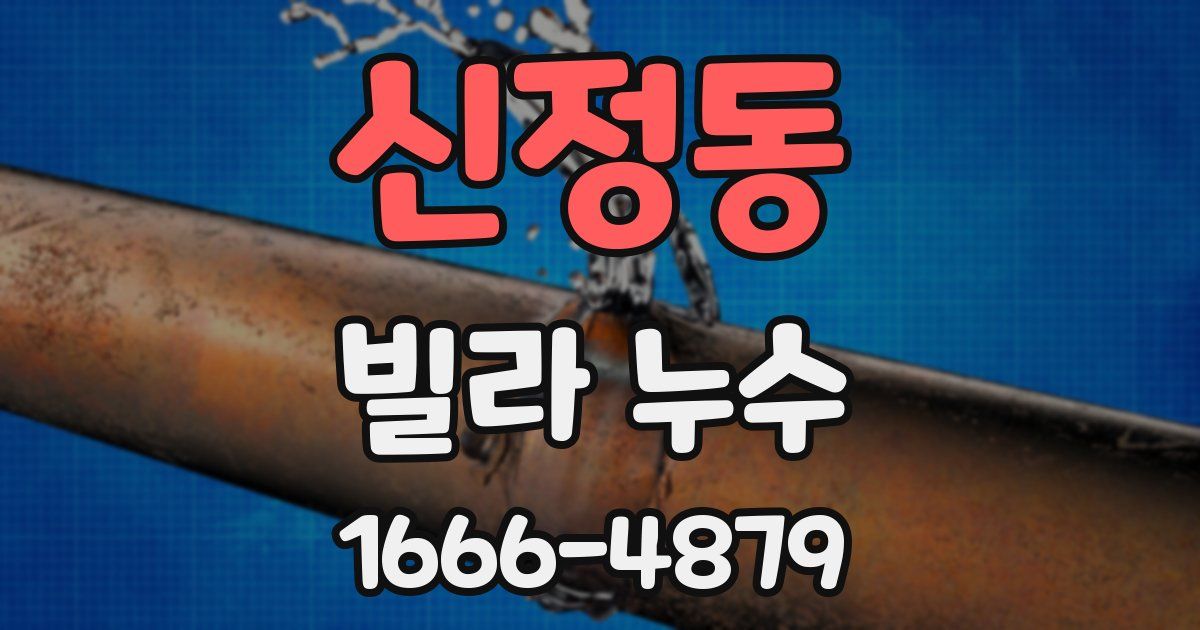 신정동 빌라 누수