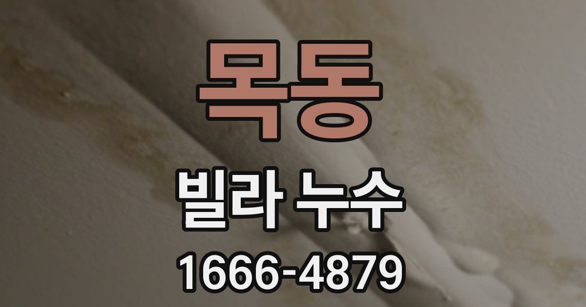 목동 빌라 누수