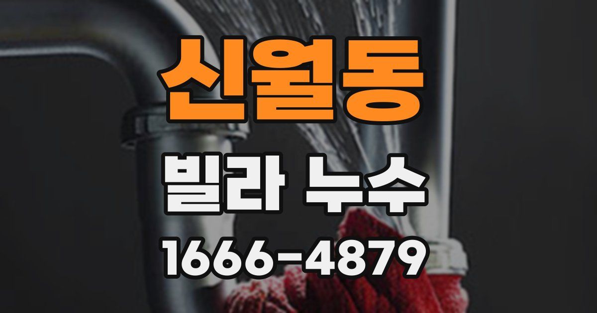 신월동 빌라 누수