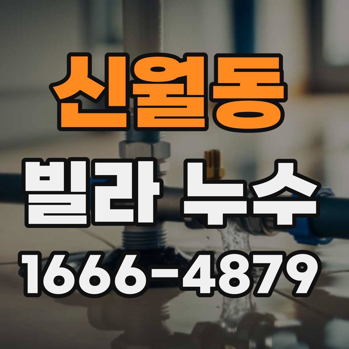 신월동 빌라 누수