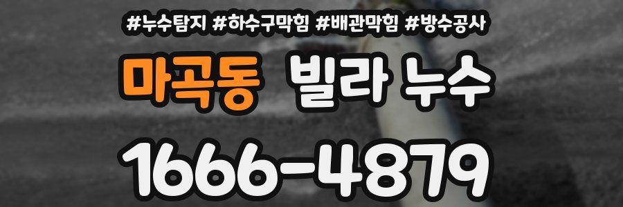 마곡동 빌라 누수
