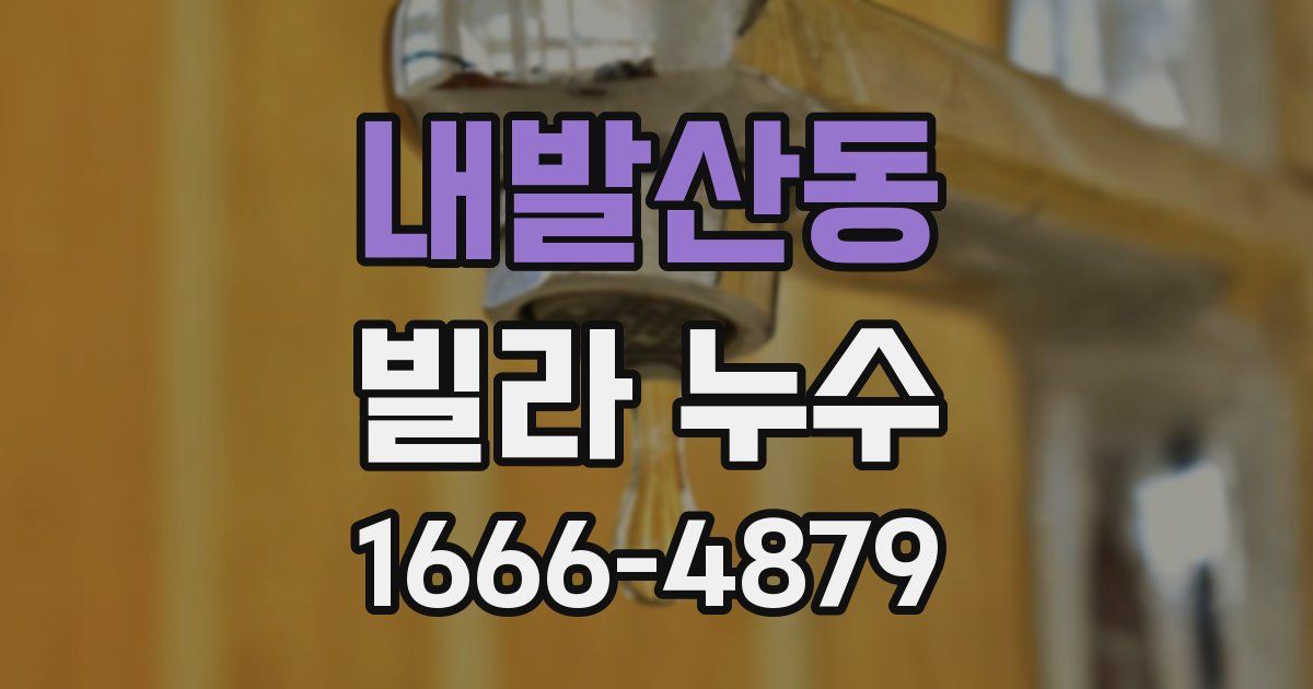 내발산동 빌라 누수