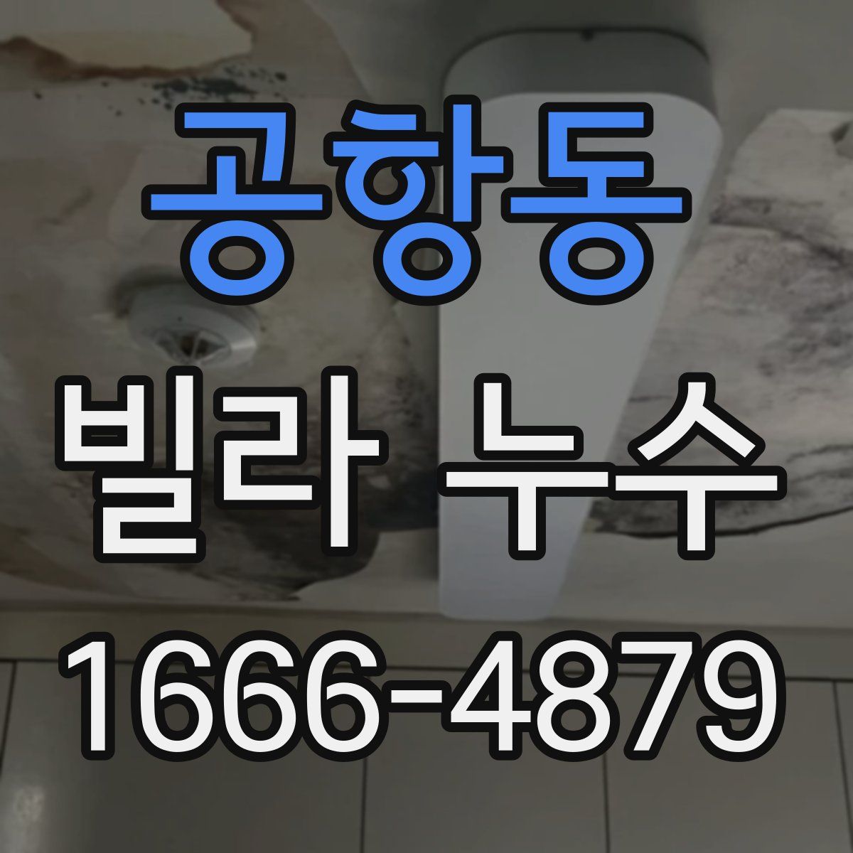 공항동 빌라 누수