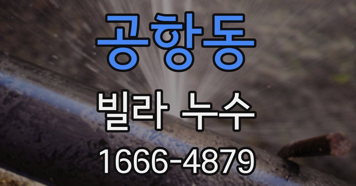 공항동 빌라 누수