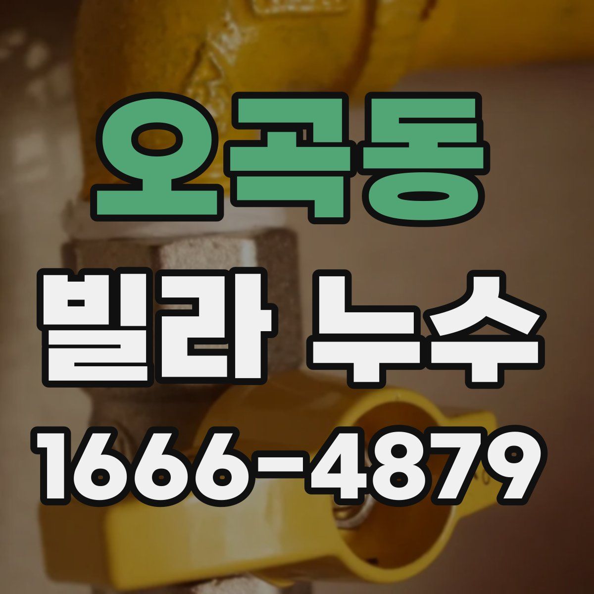 오곡동 빌라 누수