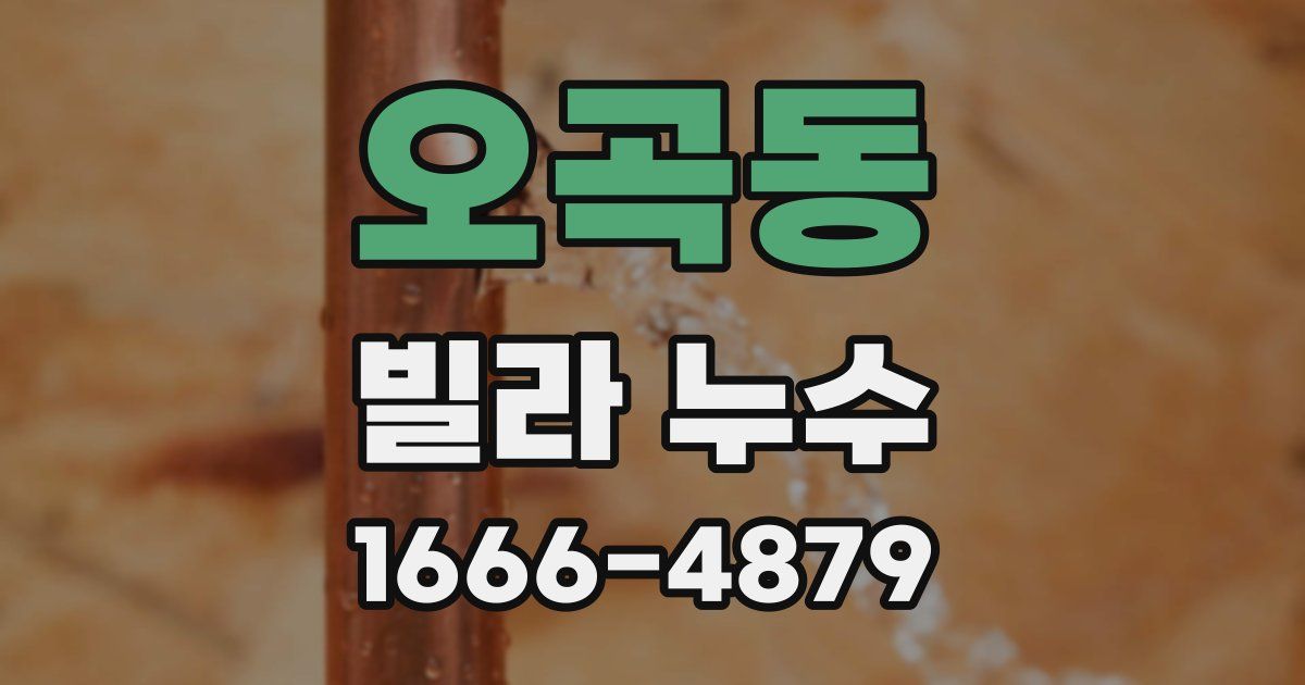 오곡동 빌라 누수