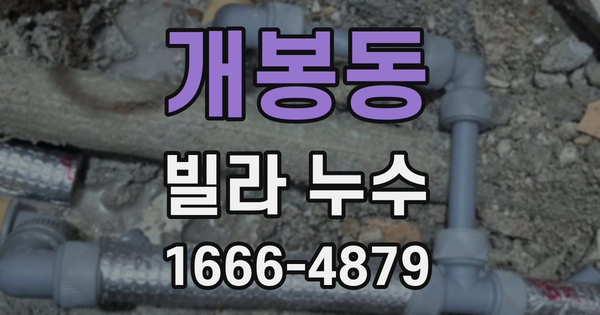 개봉동 빌라 누수