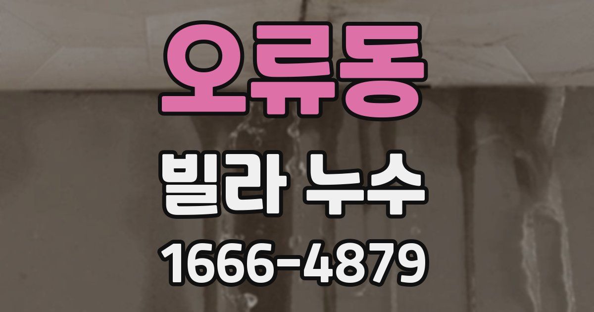 오류동 빌라 누수