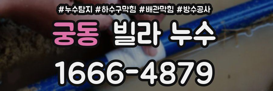 궁동 빌라 누수
