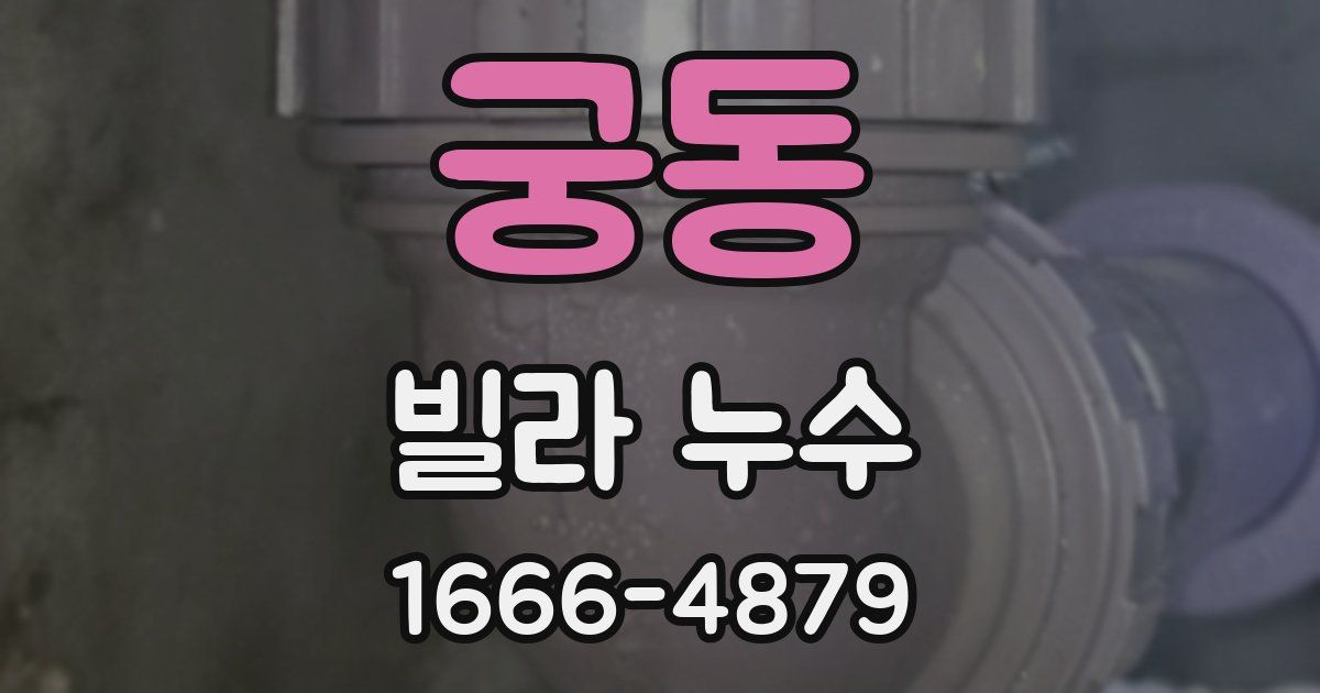 궁동 빌라 누수