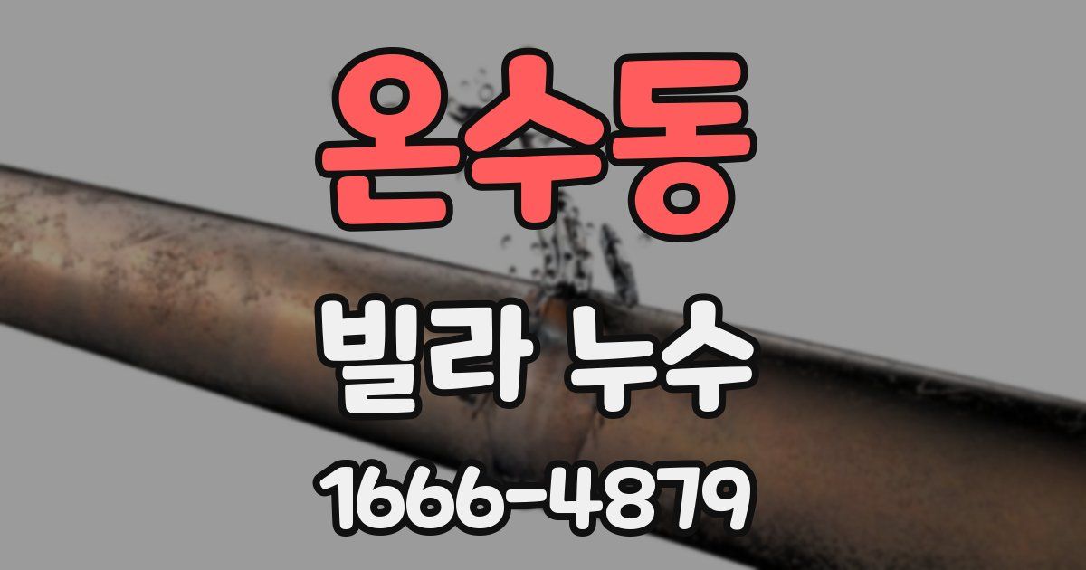 온수동 빌라 누수