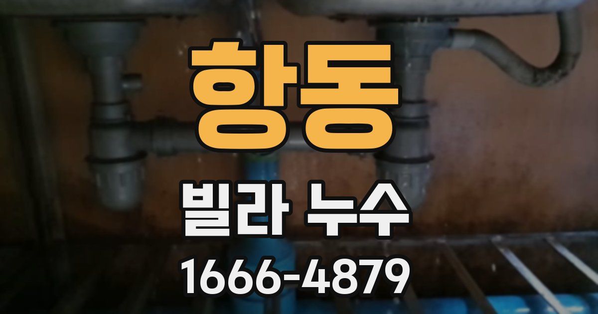 항동 빌라 누수