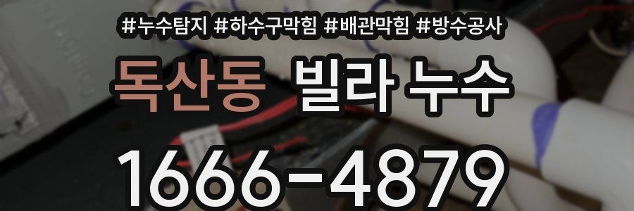 독산동 빌라 누수