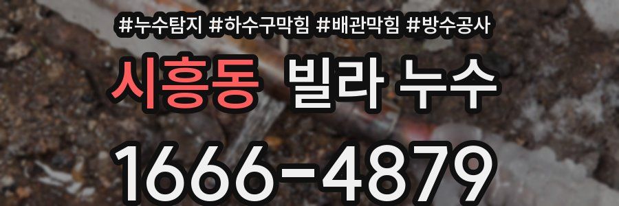 시흥동 빌라 누수