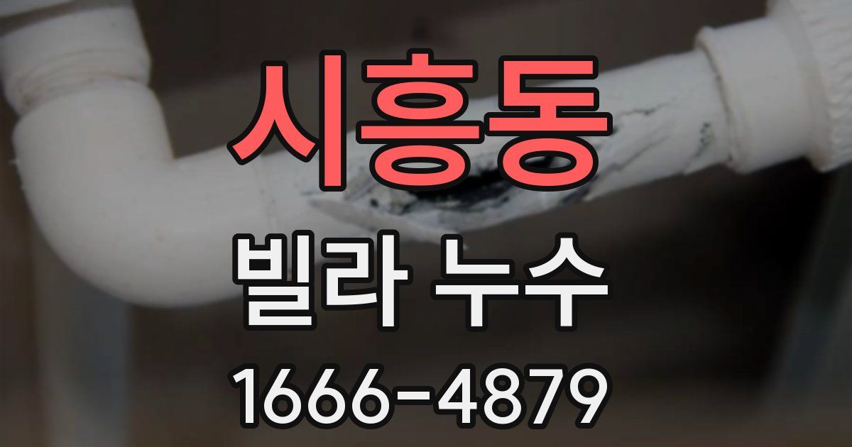 시흥동 빌라 누수