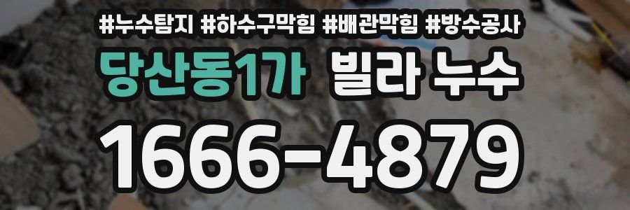당산동1가 빌라 누수