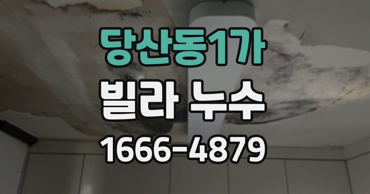 당산동1가 빌라 누수