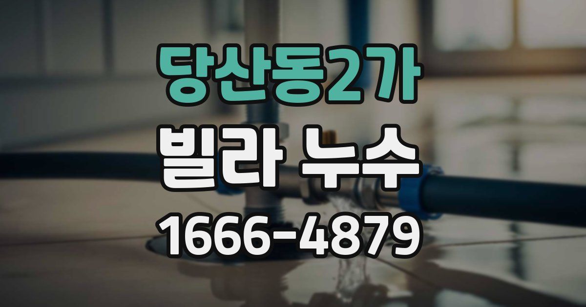 당산동2가 빌라 누수