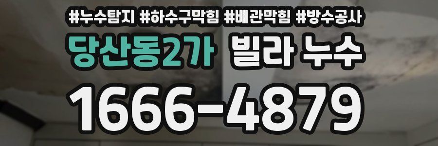 당산동2가 빌라 누수