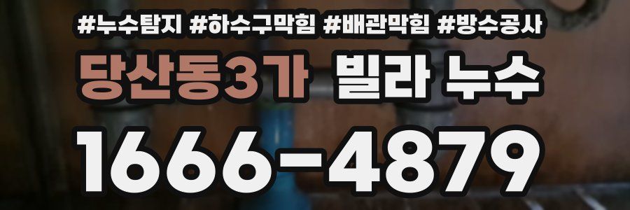 당산동3가 빌라 누수