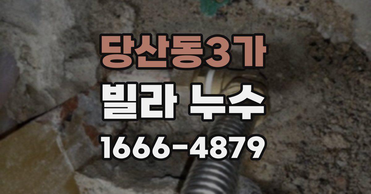 당산동3가 빌라 누수