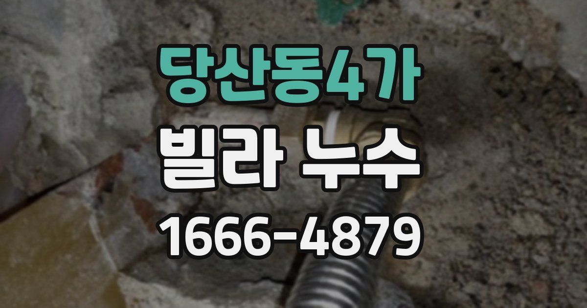 당산동4가 빌라 누수
