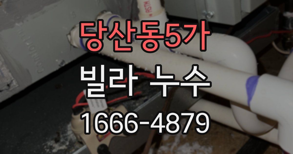 당산동5가 빌라 누수