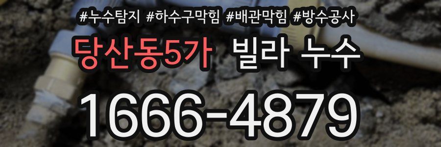 당산동5가 빌라 누수