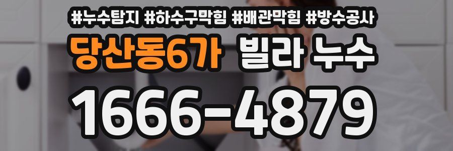 당산동6가 빌라 누수
