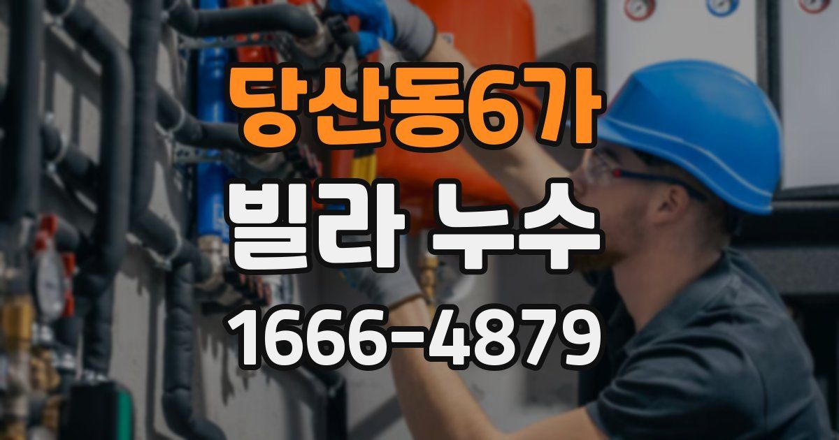 당산동6가 빌라 누수