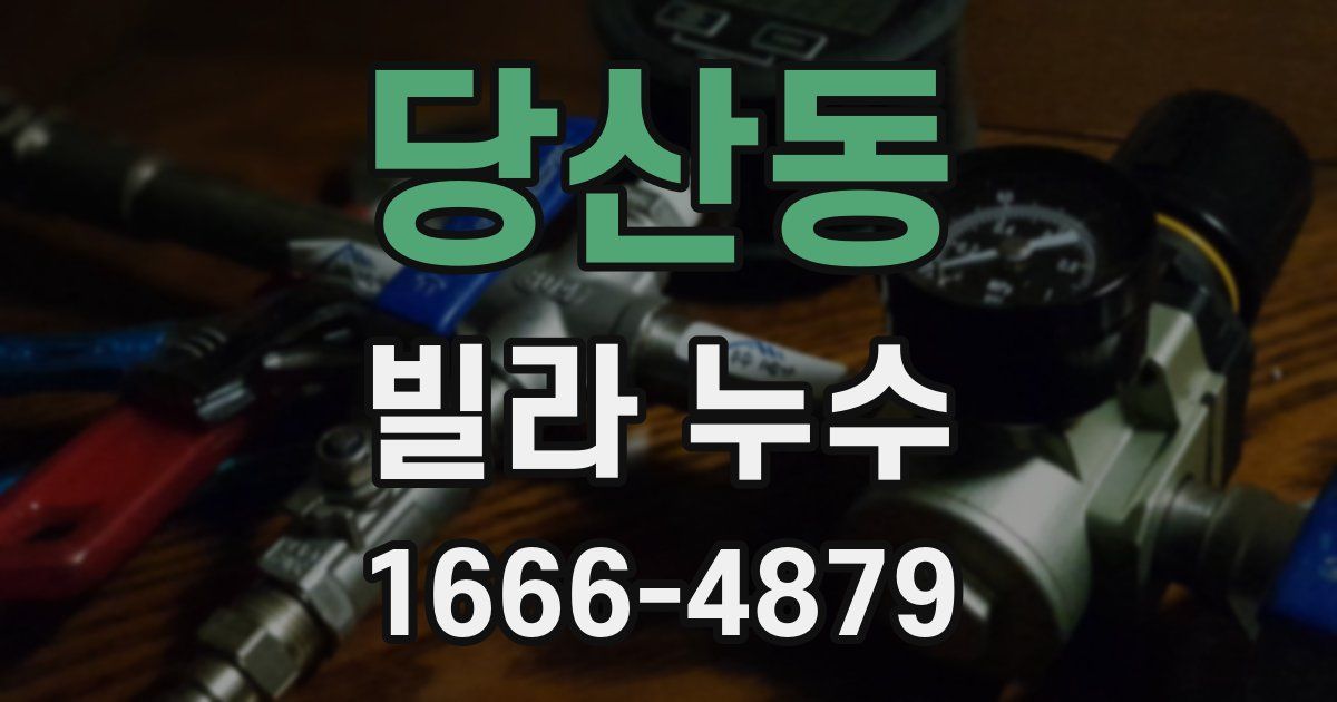 당산동 빌라 누수
