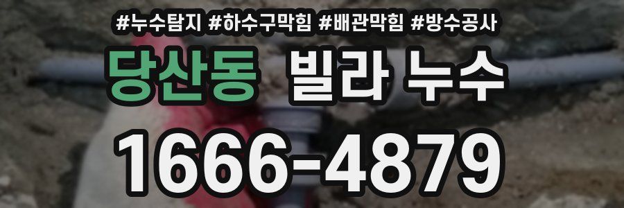 당산동 빌라 누수