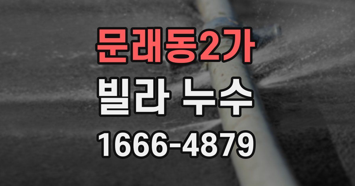 문래동2가 빌라 누수