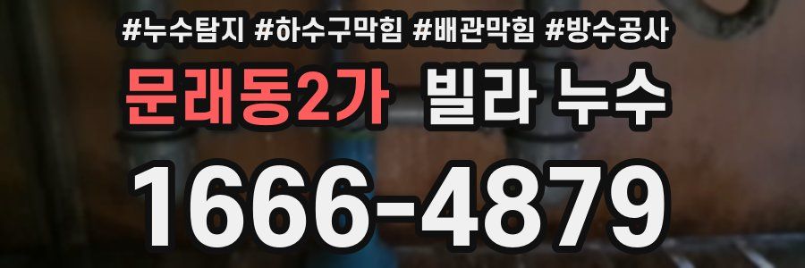 문래동2가 빌라 누수