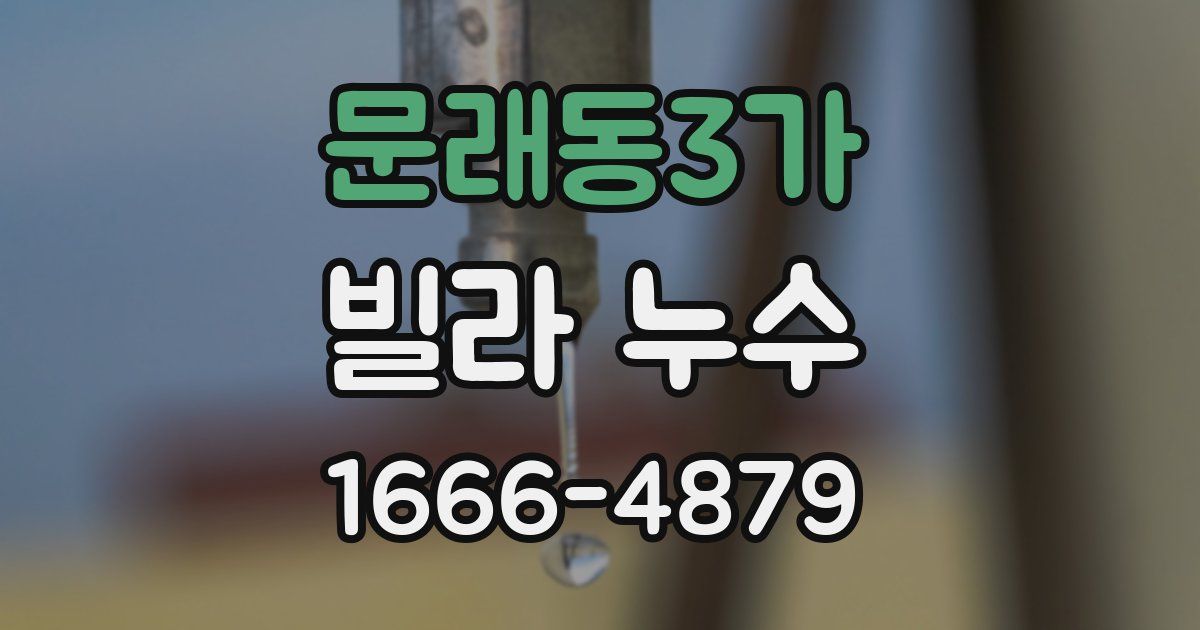 문래동3가 빌라 누수