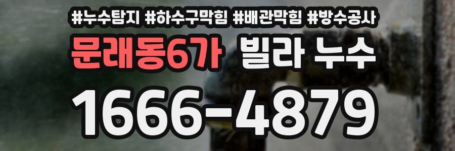 문래동6가 빌라 누수