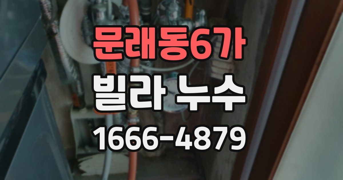 문래동6가 빌라 누수