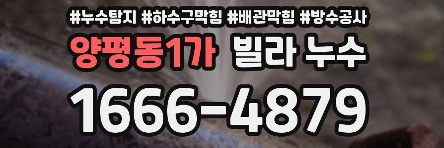 양평동1가 빌라 누수