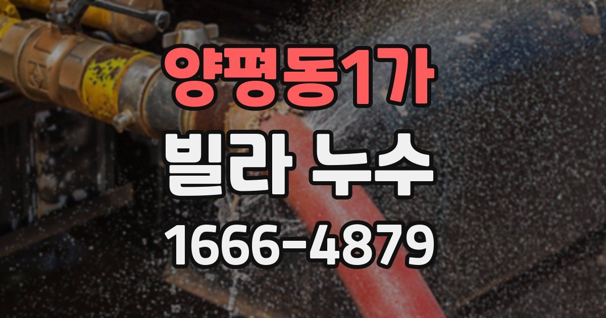 양평동1가 빌라 누수