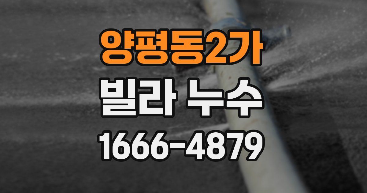 양평동2가 빌라 누수