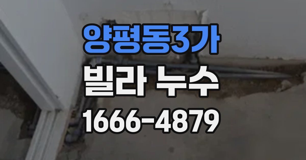 양평동3가 빌라 누수