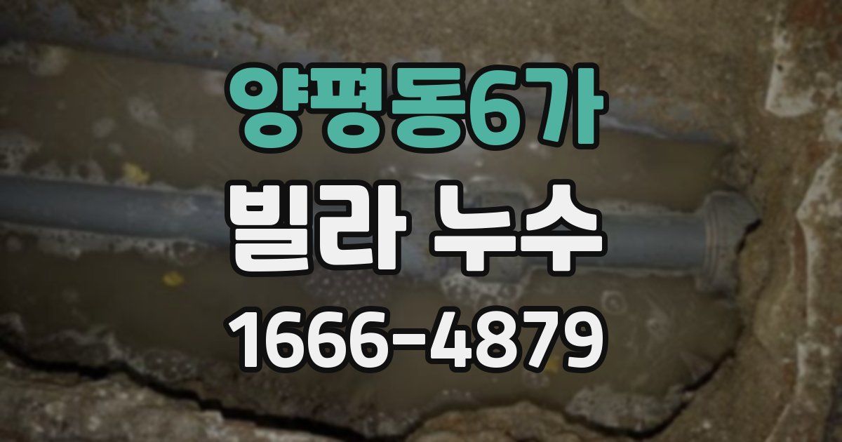 양평동6가 빌라 누수