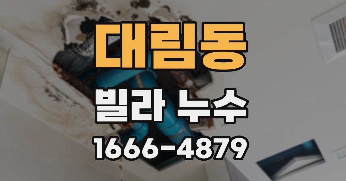 대림동 빌라 누수