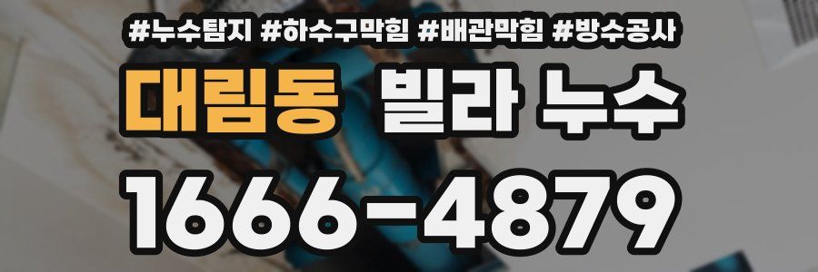 대림동 빌라 누수