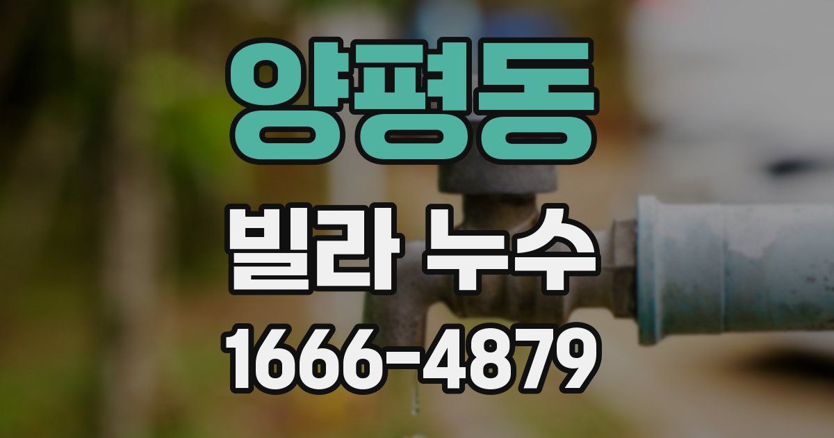 양평동 빌라 누수