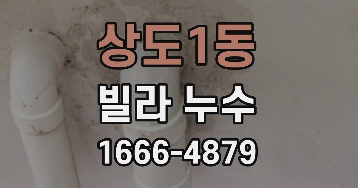 상도1동 빌라 누수