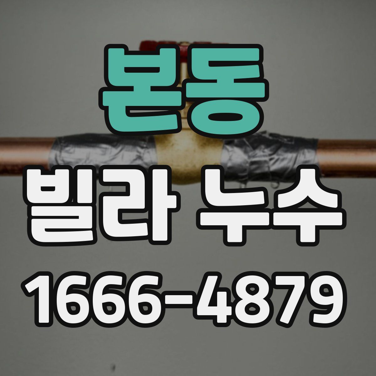 본동 빌라 누수