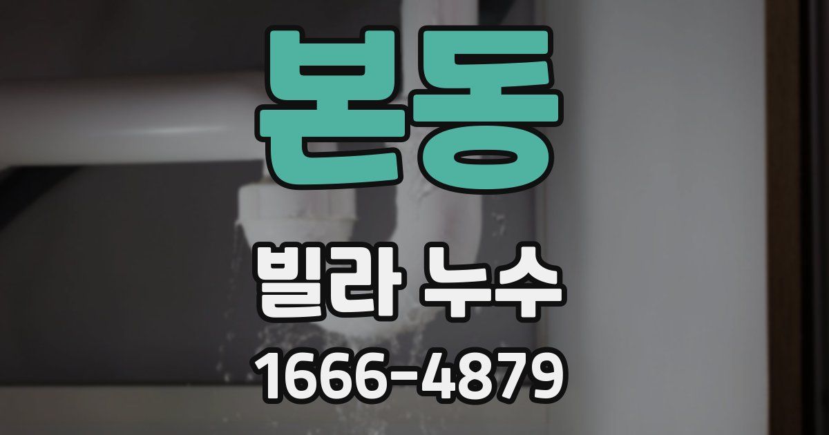 본동 빌라 누수